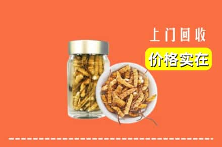 收购资讯:扬州市高邮回收散虫草