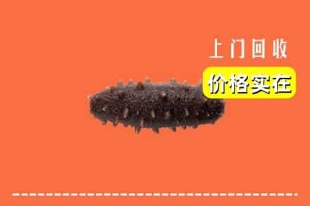 收购资讯:扬州市高邮回收海参