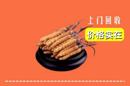 扬州市高邮回收冬虫夏草