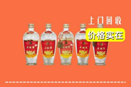 扬州市高邮回收老五粮液
